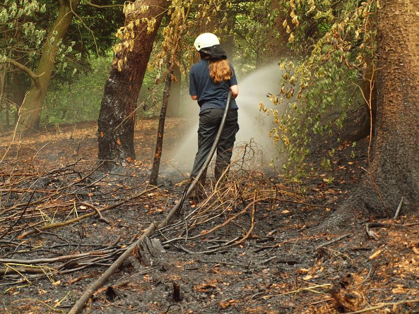 Waldbrand Bergisch Gladbach Bensberg P179.JPG